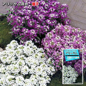 AbT q 0.3mlic\{F悻300{)