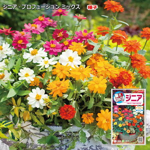 ジニア 苗 プロフュージョン Diy 工具の人気商品 通販 価格比較 価格 Com