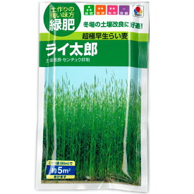 緑肥 らい麦 種子 ライ太郎 （面積およそ5m2分) 60ml