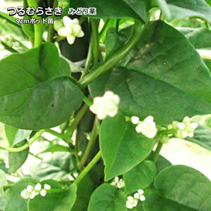 天ぷら 鍋 Diy 工具の人気商品 通販 価格比較 価格 Com