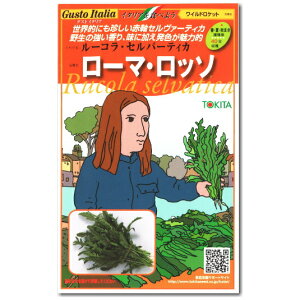 �w ���[�} ���b�\ �x ���b�R�� ��q 500�� ���[�R���Z���o�[�e�B�J Rucola selvatica ���C���h���P�b�g