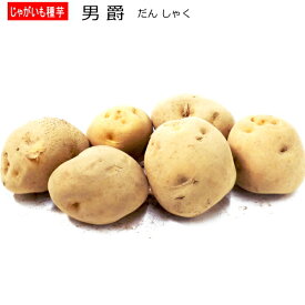 『 男爵 だんしゃく 』 じゃがいも 種芋 L---Sサイズ ジャガイモ