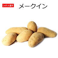 『 メークイン 』 じゃがいも 種芋 L---Sサイズ ジャガイモ