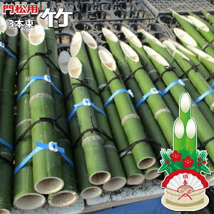 y\z 叼p̒| Œ90cmO3{x1 fBXvCyA129`1223oוizyiƒwsAnz