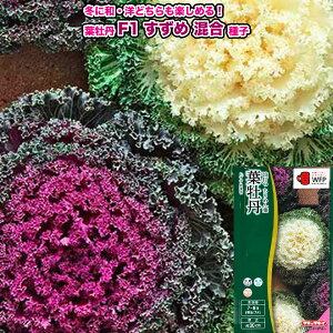 tOy F1 ߍ zq 0.5ml^^LCzic\{F悻50{j