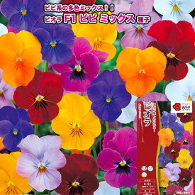ビオラ【 F1ビビ ミックス 】種子 0.2ml／タキイ交配（育苗可能本数：およそ80本）