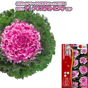 tOy F1v`iP[ NX^sN zq 20^^LCzic\{F悻15{j