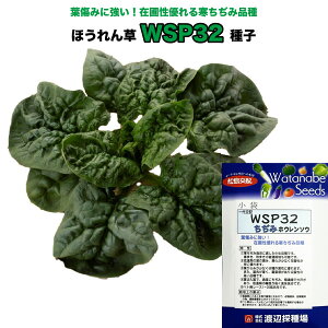 ݃zE\Ey WSP32 zq30ml^ق