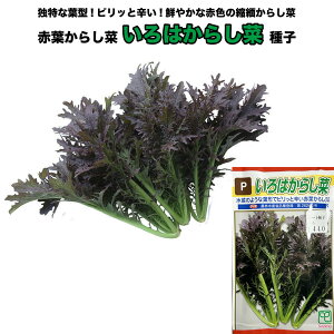 炵؁y ͂炵 zq 200