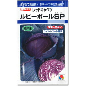 w r[{[ SP x Lxc q 130