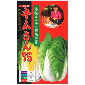 q L75 1ml nNTC