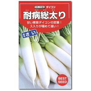  q ϕa ́F 8ml`35ml@卪