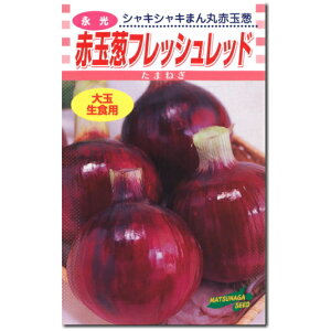 ԋʃ^}lMy tbVbh zq 4`20ml^ʂ˂
