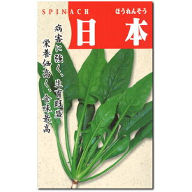 『 日本 』 ホウレンソウ 種子 75ml ほうれんそう 法蓮草