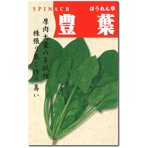 zE\Ey Lt ق悤 zq 75ml^ق