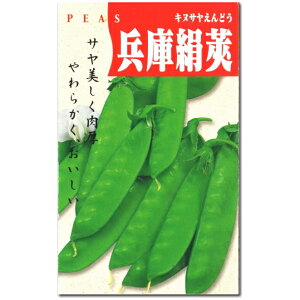 ǂy Ɍ zq 30ml^GhE^邠^