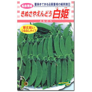 ǂy ʂ₦ǂ P zq 20ml^Ⴂ^閳^GhE