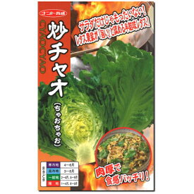 レタス 種子 炒チャオ ちゃおちゃお 0.7ml チャオチャオ