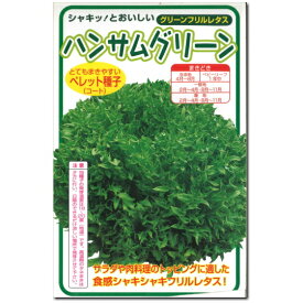 レタス 種子 ハンサムグリーン グリーン フリルレタス 100粒