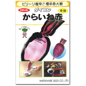 y 炢ː zq 6ml^卪