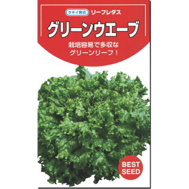 レタス 種子 グリーンウェーブ リーフレタス 0.7ml～1.8ml