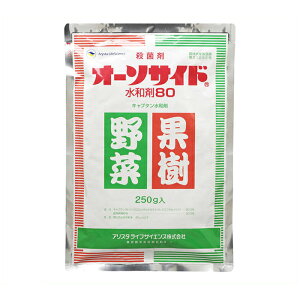 yGg[Ń|Cg10{zAX^ CtTCGXI[\TCha250gy2025/12/4 20:00 - 2025/12/11 01:59z