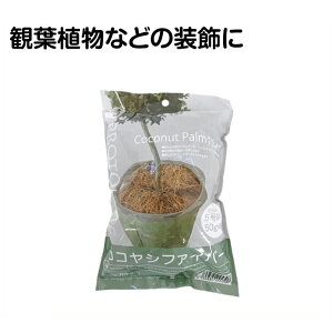 RRVt@Co[50g