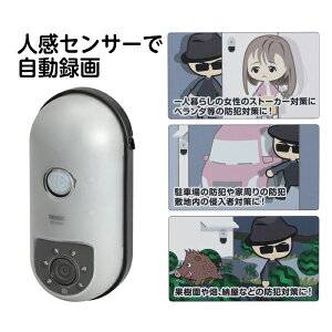 REVEX }CNSD^掮ZT[J SD1000