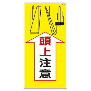 S ܂񂪕W AM-39 㒍