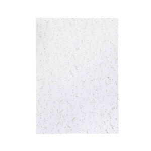 qTS VV[ A4 OP5005 A4\[g