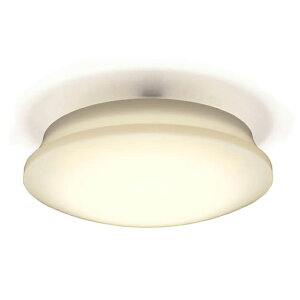 ��������LED�V�[�����O���C�g(�v���[�����F) CL8DL-5.11V