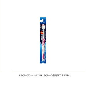 TX^[ DoNA@nuV@ RpNg@ӂ