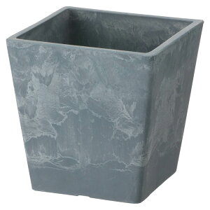 yyVX[p[SALEzRichell(b`F) {^j[ XNGA|bg 10^ 0.6L u[ 71631-4y2025/12/4 20:00 - 2025/12/11 01:59z