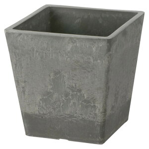 yyVX[p[SALEzRichell(b`F) {^j[ XNGA|bg 12^ 1L CgO[ 71635-2y2025/12/4 20:00 - 2025/12/11 01:59z