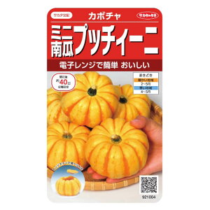 ミニ カボチャ 種の人気商品 通販 価格比較 価格 Com ミニ カボチャ 種の人気商品 通販 価格比較 価格 Com