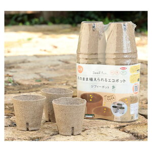 yyVX[p[SALEzTJ^̃^l V[ht@ WtB[|bg8cm 30y2025/12/4 20:00 - 2025/12/11 01:59z