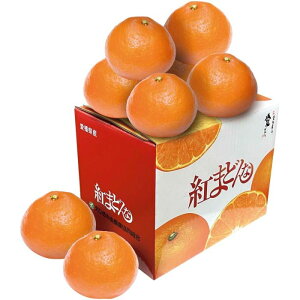 yY13-4zyΕzQY g܂ǂ-؁F2025N123