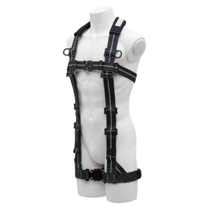 KH(z) I^n[lX FIPGSL-L2