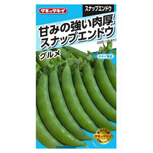 yGg[Ń|Cg10{zGhE Â݂̋Xibvǂ Oy2025/12/4 20:00 - 2025/12/11 01:59z