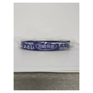 yGg[Ń|Cg10{z΂˂e[vY 20×100m{茧y2025/12/4 20:00 - 2025/12/11 01:59z