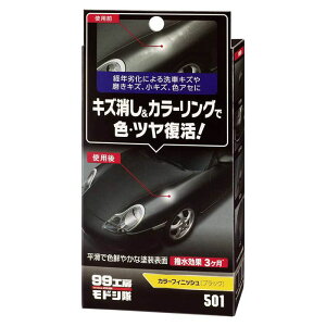ソフト99 モドシ隊 カラーフィニッシュ B-501 ブラック