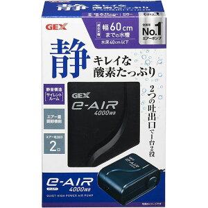 GEX C[GA[@e-AIR@4000WB {