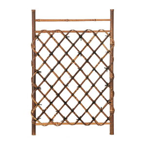 TO-2 Ւ|}܌ W750 75×105