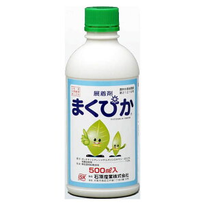 ΌoCITCGX ܂҂ 500ml