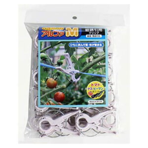 V[ At@@M g}gEiXEs[}p