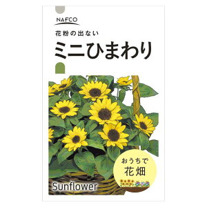 ミニ ひまわり 種の人気商品 通販 価格比較 価格 Com