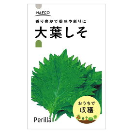 おうちで収穫 野菜の種 大葉しそ