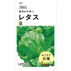 yyVX[p[SALEzŎn@؂̎ ^Xy2025/12/4 20:00 - 2025/12/11 01:59z