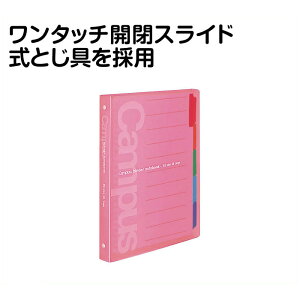 RN LpXXChoC_[@B5@~h -P333P