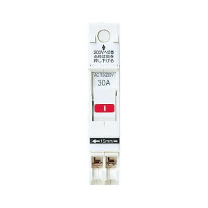 Panasonic�i�p�i�\�j�b�N�j 2P2E30A 100/200V BSH2302